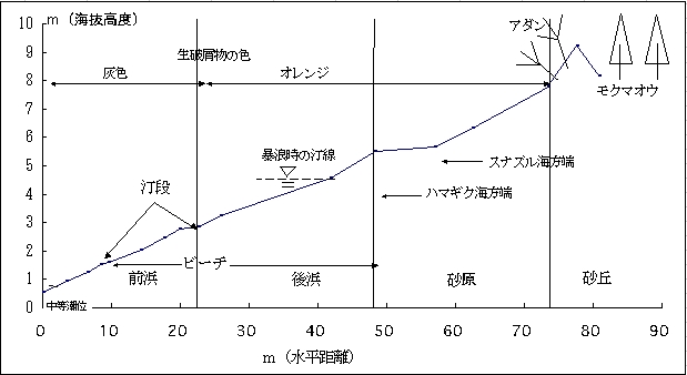 cfʑʌ